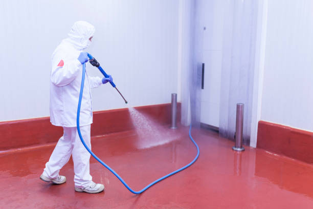 Best Driveway Pressure Washing  in Forsyth, MO