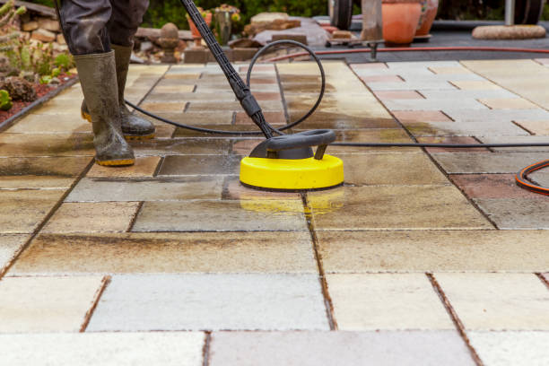 Best Pre-Holiday Cleaning  in Forsyth, MO